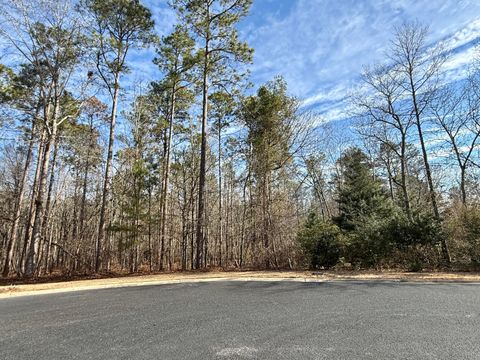 Photo of 224 Kingston Heath Court, Aiken, SC 29803 (MLS # 221505)