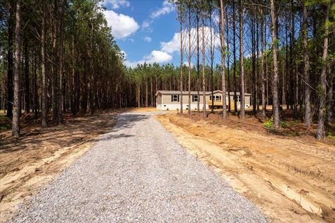 Photo of 846 Horses Neck Road, Swansea, SC 29160 (MLS # 218609) Photo of 846 Horses Neck Road, Swansea, SC 29160 (MLS # 218609)