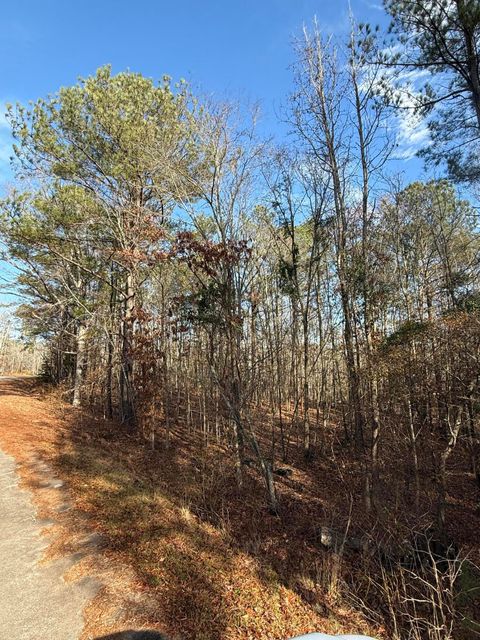 Photo of Lot A Sertoma Drive, Johnston, SC 29832 (MLS # 221040)
