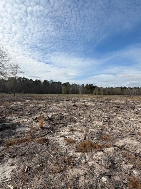 Photo of 20.33 R And B Avenue, Barnwell, SC 29812 (MLS # 221526)