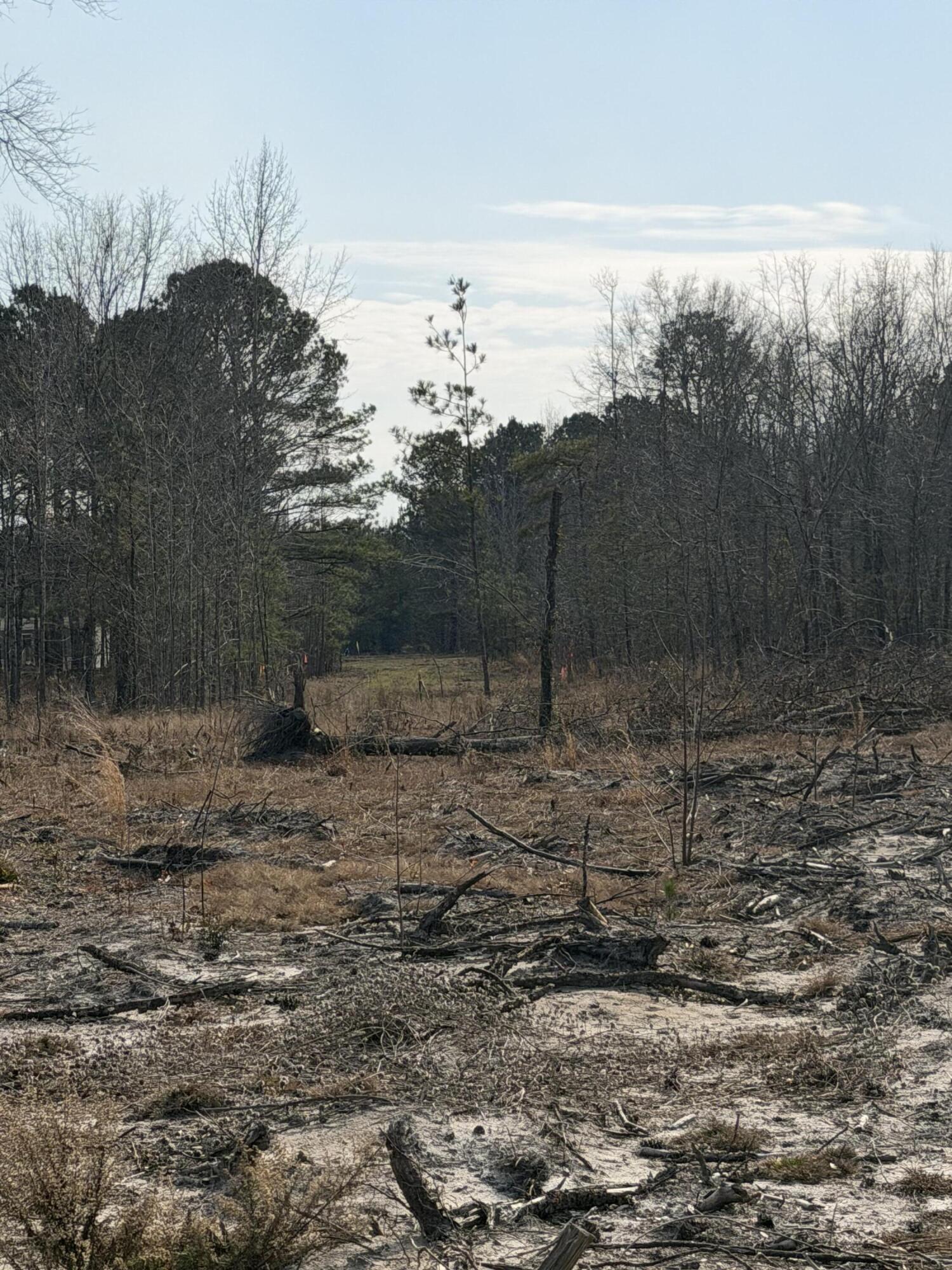 20.33 R And B Avenue