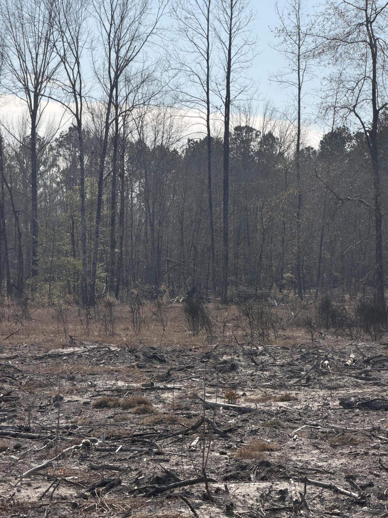 20.33 R And B Avenue