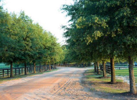 Tiny photo for 576b Mcintosh Loop, Aiken, SC 29805 (MLS # 220807)