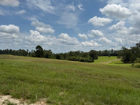 Photo of 1474 Shaws Fork Road, Aiken, SC 29805 (MLS # 218760)