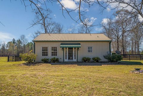 Tiny photo for 411 Bluffwood Road, Wagener, SC 29164 (MLS # 222160)