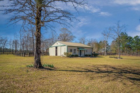 Tiny photo for 411 Bluffwood Road, Wagener, SC 29164 (MLS # 222160)