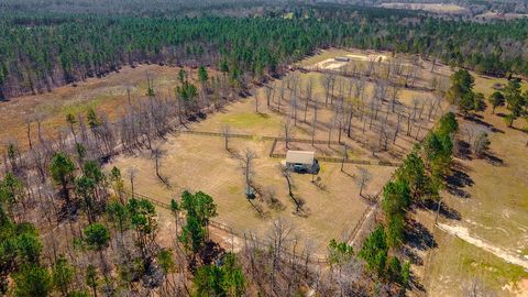 Tiny photo for 411 Bluffwood Road, Wagener, SC 29164 (MLS # 222160)