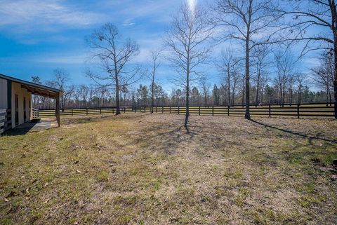 Tiny photo for 411 Bluffwood Road, Wagener, SC 29164 (MLS # 222160)