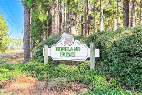 Tiny photo for 806 Starbuck Drive, Aiken, SC 29803 (MLS # 220417)