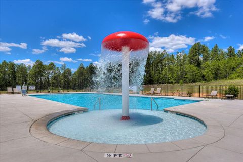 Tiny photo for 985 Tess Street, Graniteville, SC 29829 (MLS # 219657)