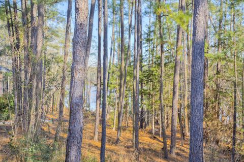 Tiny photo for 305 Kingfisher Point, Mc Cormick, SC 29835 (MLS # 215574)