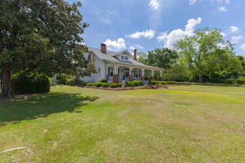 Tiny photo for 183 Main Street S, Wagener, SC 29164 (MLS # 217404)