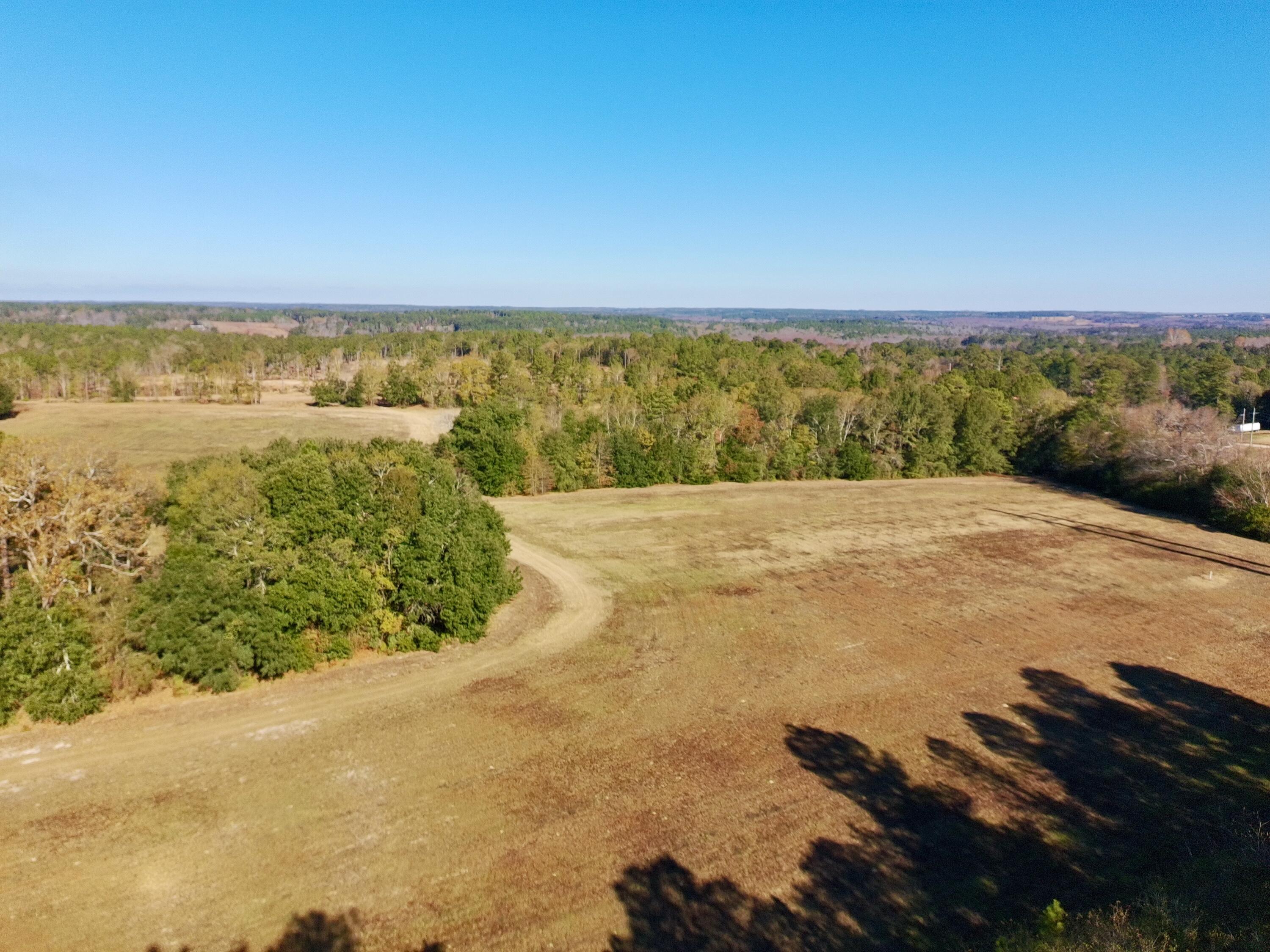 73 Acres Wagener Road