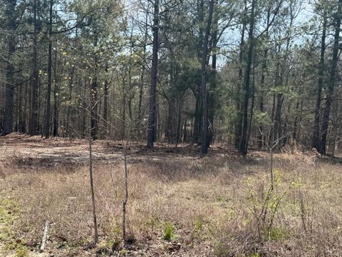 Tiny photo for 20 Hammond Drive, Trenton, SC 29847 (MLS # 222294)