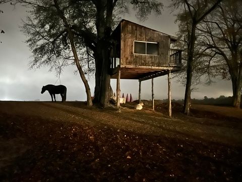 Tiny photo for 127 Martin Hollow Road, Aiken, SC 29803 (MLS # 221666)