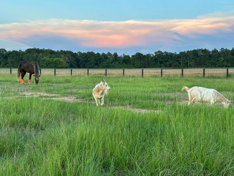 Tiny photo for 127 Martin Hollow Road, Aiken, SC 29803 (MLS # 221666)