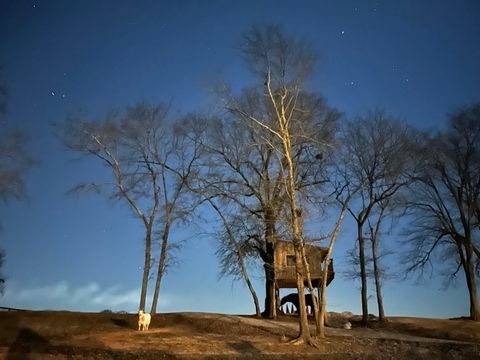 Tiny photo for 127 Martin Hollow Road, Aiken, SC 29803 (MLS # 221666)