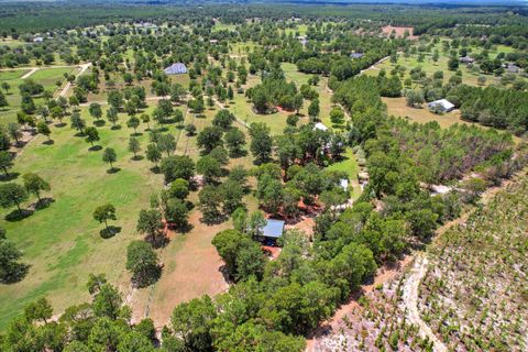 Tiny photo for 407 N Windsor Road, Windsor, SC 29856 (MLS # 216431)