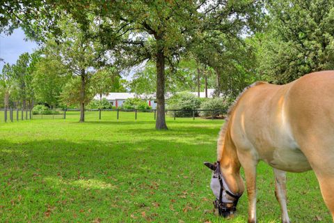 Tiny photo for 407 N Windsor Road, Windsor, SC 29856 (MLS # 216431)