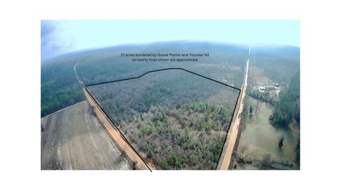 Photo of 00 Thunder Road, Batesburg-Leesville, SC 29006 (MLS # 221197)
