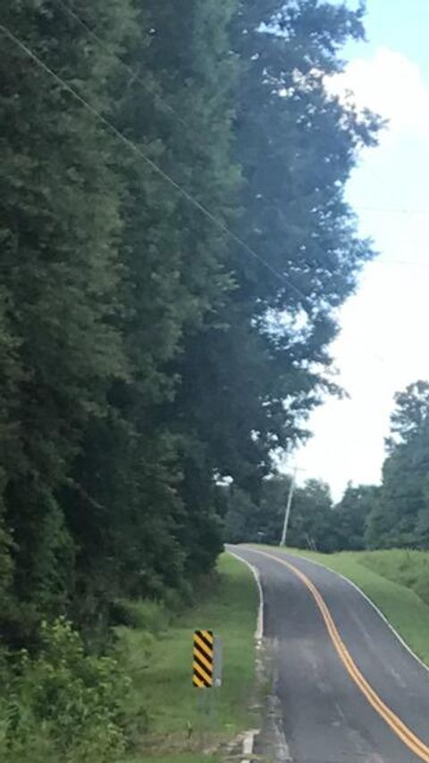 Tbd Izlar Street Blackville SC 29817