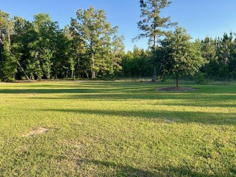 Tiny photo for 2235 St Paul Road, Barnwell, SC 29812 (MLS # 218130)