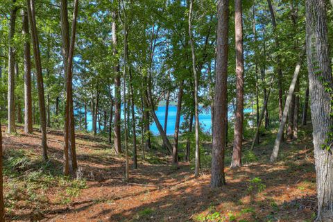 Tiny photo for 202 Deer Run Lane, Mccormick, SC 29835 (MLS # 221990)
