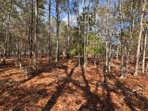 Photo of Lot 123 Ravenglass Court, Aiken, SC 29803 (MLS # 220891)