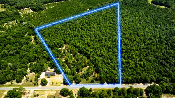 2252 WINDSOR RD, SPRINGFIELD, SC 29146 - Image 9b4567d2a2f1d0fdde66caaf28e3db85/3584362802