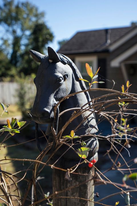 Tiny photo for 3311 Forest Drive, Aiken, SC 29801 (MLS # 220504)