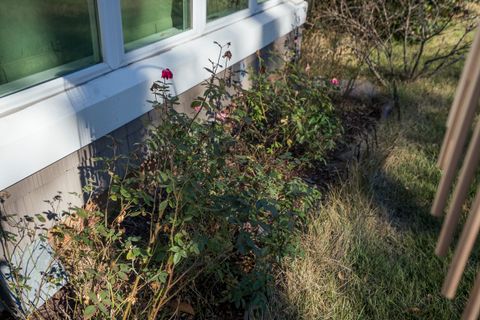 Tiny photo for 3311 Forest Drive, Aiken, SC 29801 (MLS # 220504)