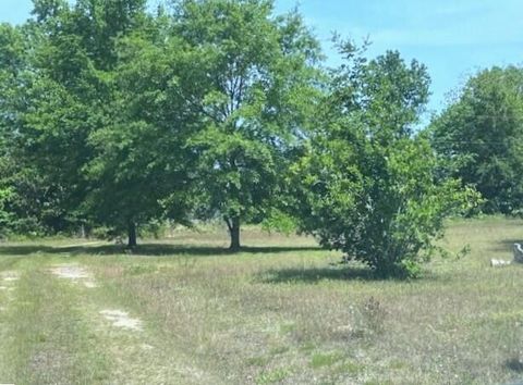 Tiny photo for 187 Rambo Road, Allendale, SC 29810 (MLS # 218772)