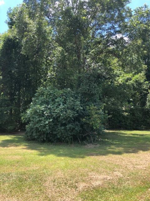 Tiny photo for 187 Rambo Road, Allendale, SC 29810 (MLS # 218772)