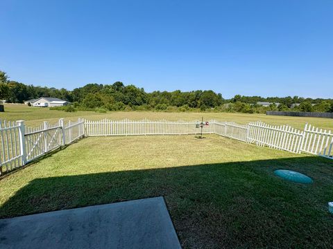 Tiny photo for 146 Switch Grass Drive, Batesburg-Leesville, SC 29070 (MLS # 219364)