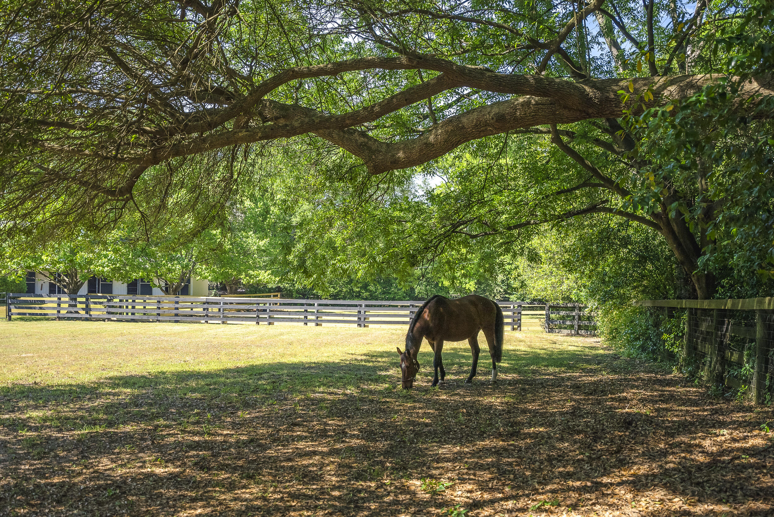 1242 Audubon Drive SE