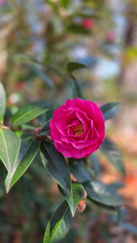 Tiny photo for 2133 Trail Point, Aiken, SC 29803 (MLS # 222093)