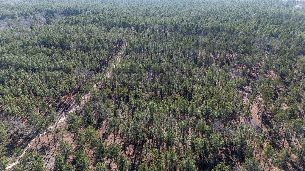 Tbd N Highway # 1 North