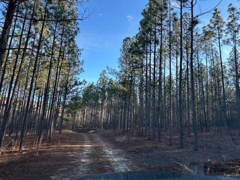 Photo of Tbd N Highway # 1 North, Aiken, SC 29802 (MLS # 221484)