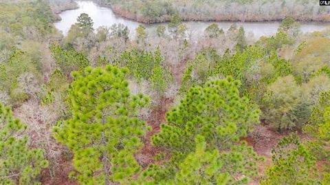 Photo of 0 Browns Pond Road, Wagener, SC 29164 (MLS # 223731)