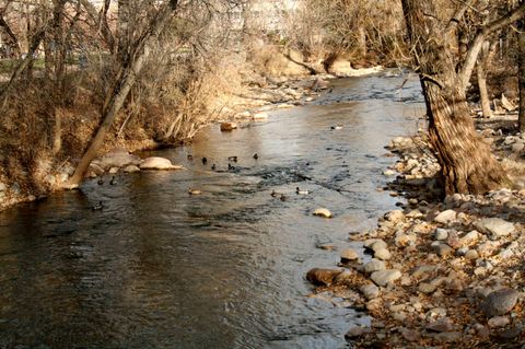 Property photo of 0 High Point Road, Edgefield, SC 29824