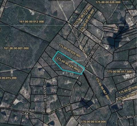 Photo of 380 Windy Ridge Rd Road, Trenton, SC 29847 (MLS # 220482)