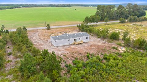 Tiny photo for 6609 Wagener Road Road, Wagener, SC 29164 (MLS # 219225)