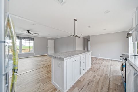 Tiny photo for 6609 Wagener Road Road, Wagener, SC 29164 (MLS # 219225)