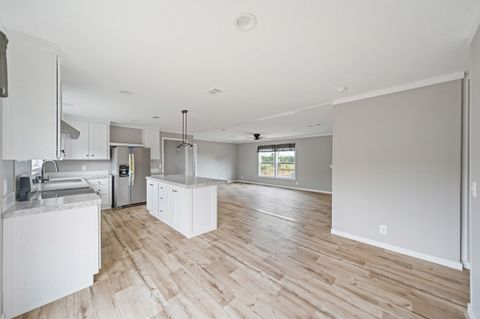 Tiny photo for 6609 Wagener Road Road, Wagener, SC 29164 (MLS # 219225)