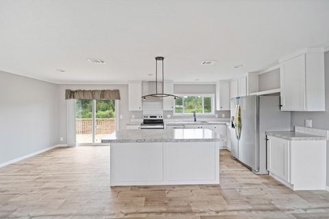 Tiny photo for 6609 Wagener Road Road, Wagener, SC 29164 (MLS # 219225)