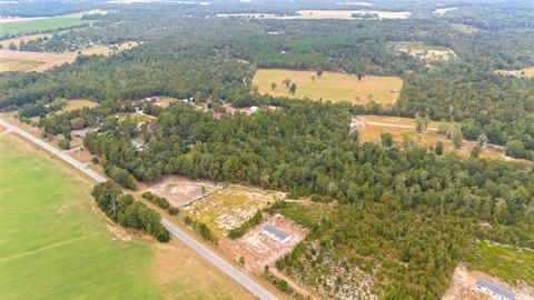 Tiny photo for 6609 Wagener Road Road, Wagener, SC 29164 (MLS # 219225)