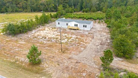 Tiny photo for 6609 Wagener Road Road, Wagener, SC 29164 (MLS # 219225)