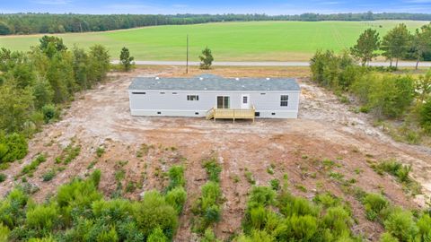 Tiny photo for 6609 Wagener Road Road, Wagener, SC 29164 (MLS # 219225)