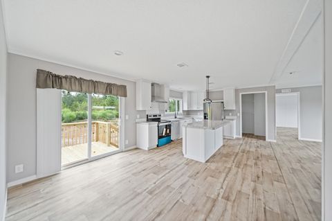 Tiny photo for 6609 Wagener Road Road, Wagener, SC 29164 (MLS # 219225)