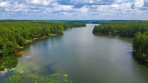 Tiny photo for 897 Edisto Lake Road, Wagener, SC 29164 (MLS # 214303)